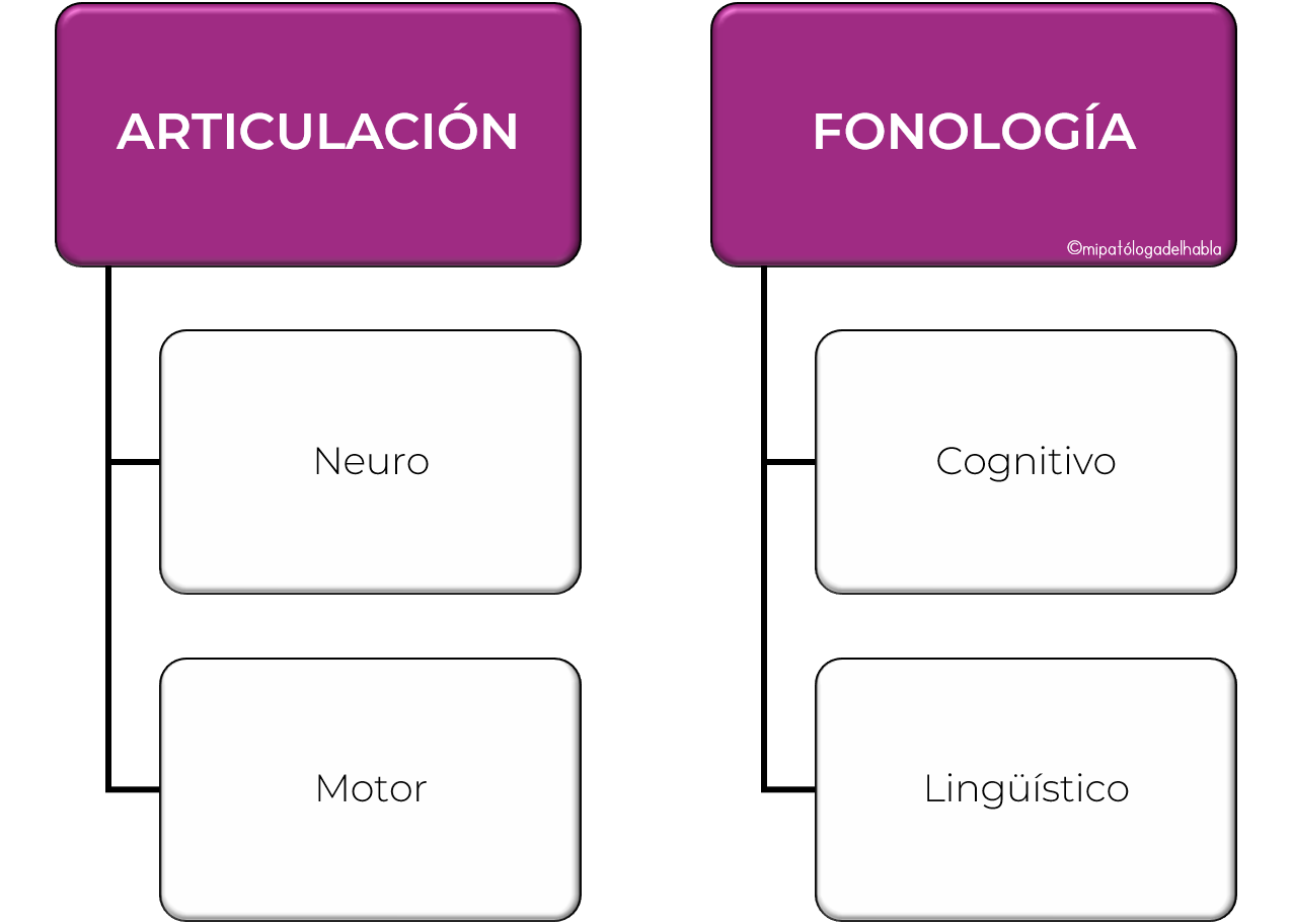 Articulación vs. Fonología en Terapia del Habla