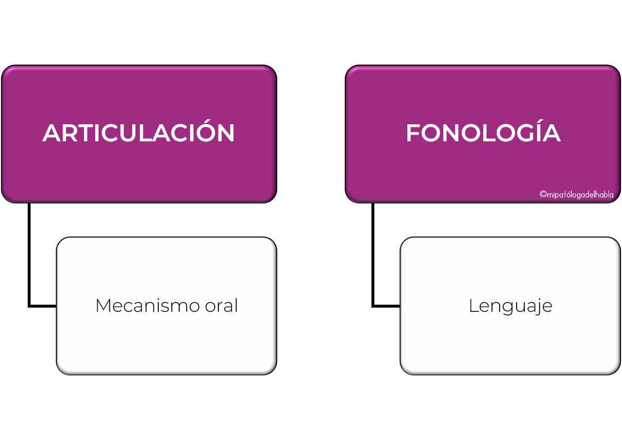 Articulación vs. Fonología en Terapia del Habla